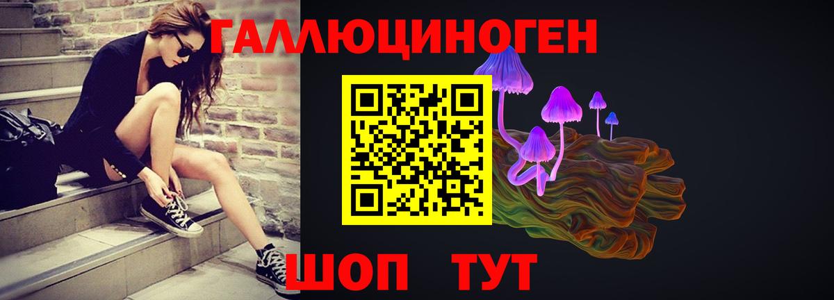 Сергиев Посад  Псилоцибиновые грибы Psilocybine cubensis  Вход с VPN 