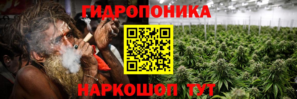 Канабис Ganja  МАРИХУАНА сатива  Вход с VPN  Сергиев Посад  Каннабис план  Канабис VHQ 
